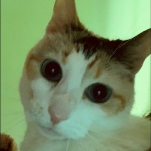 Meet your Posher, Eden